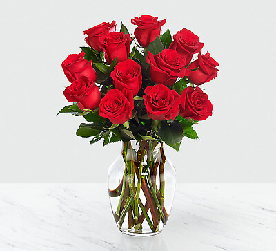 Red 1 Dozen Roses