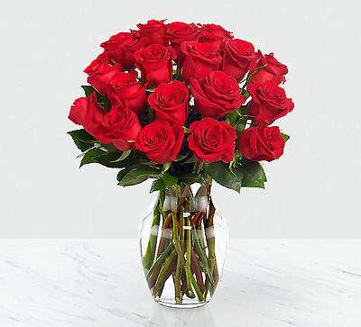 Red 1 Dozen Roses